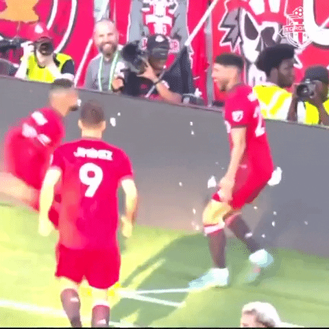 Happy Bmo Field GIF by Toronto FC