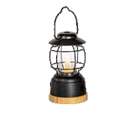 vickywood_camp light camping led woody Sticker