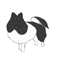 Dog Guau Sticker