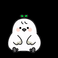 ddobong-e 질문 또또 도봉구 또또의일상 GIF