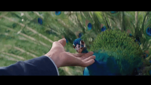 super bowl alexa GIF