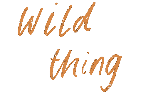 Wild Thing Cafe Sticker