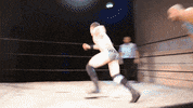 SHWAWrestling wrestling yas york suplex GIF