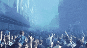 Everton Fc Fans GIF by Everton Football Club