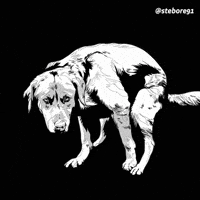 stebore91 dog meme wtf puppy GIF