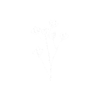 Summer Flower Sticker
