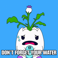 Stay Hydrated Water Bottle GIF by Magic Eden