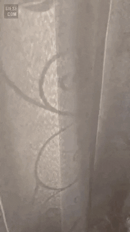 yj_jane giphygifmaker GIF