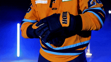 Hockey GIF by Toledo Walleye