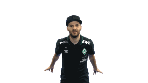Fifa Playstation Sticker by SV Werder Bremen