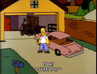 homer simpson GIF
