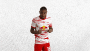 Fight Football GIF by RB Leipzig