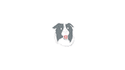 Happy Border Collie Sticker by LeapEarsFurnature