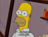 homer simpson GIF
