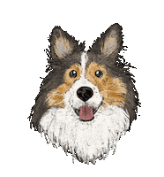 Heart Dog Sticker