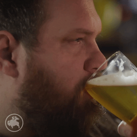 bwwings giphygifmaker happy drink beer GIF