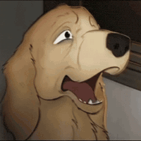 Cat Animation GIF
