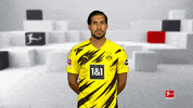 No Way Reaction GIF by Bundesliga