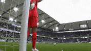 football soccer GIF by VfL Wolfsburg