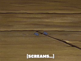 season 6 the splinter GIF by SpongeBob SquarePants