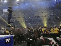 smash shane mcmahon GIF by WWE