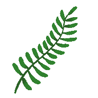 Flower Leaf Sticker by TOrZoNBorZ
