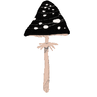 Mushroom Gomba Sticker by TOrZoNBorZ