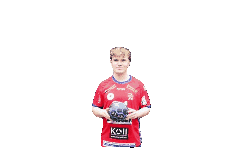 Handball H Sticker by hsg swrd