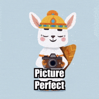 Picture Perfect Photography GIF by Llamaozi