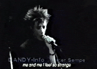 loves_in_vogue 80s dandy blixa bargeld GIF