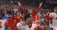2018 Nfl Yes GIF by NFL