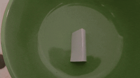 TheApocalypse giphyupload GIF