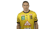 Handball-Bundesliga Handball Sticker by LIQUI MOLY HBL