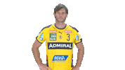 Handball-Bundesliga Finger Sticker by LIQUI MOLY HBL