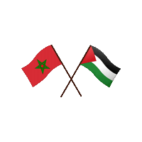 Palestine Sticker by classyandfabb