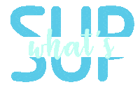Paddle Paddleboard Sticker by Bluefin SUP