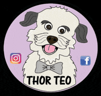 thorteo happy dog animal puppy GIF