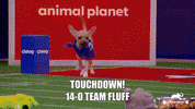 Dogs Love GIF by Puppy Bowl