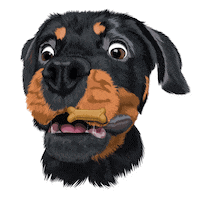 Dog Wow Sticker