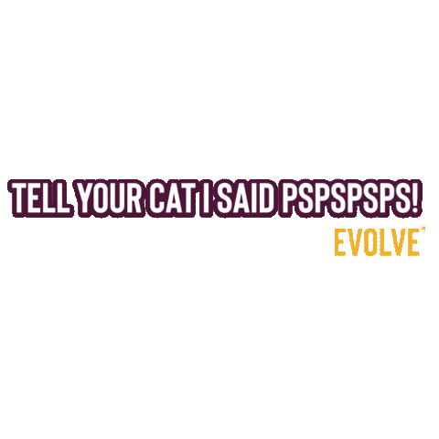 Cats Evolve Sticker by Sunshine Mills