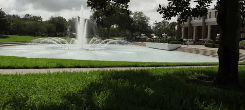 ucfsg giphyupload GIF