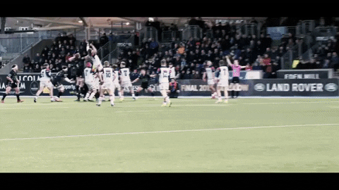 GIF by PRO14Official