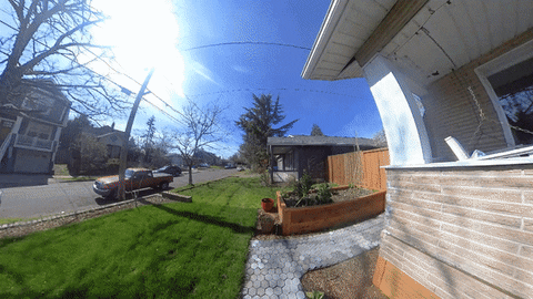 fatpencilstudio giphyupload GIF