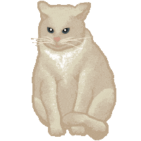 Cat Waiting Sticker