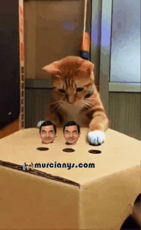 Feliz Familia GIF by Murcianys LLC