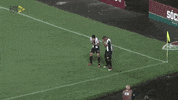 santos fc soccer GIF by Santos Futebol Clube