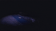 Car Driving GIF by Olivia Rodrigo
