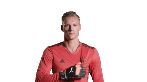 Proud Germany Sticker by DFB-Teams