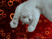 I Love You Hearts GIF by Unscreen