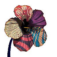 Hibiscus Sticker